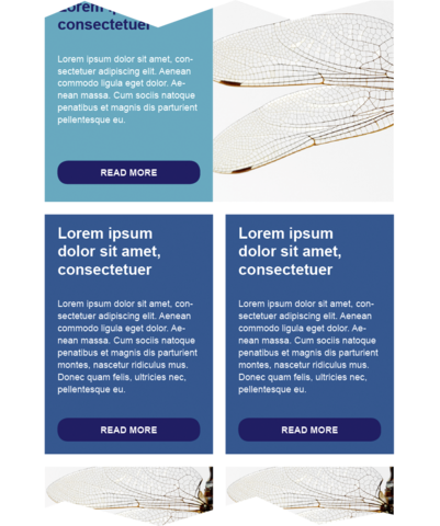 external-newsletter-interactive-6.png external-newsletter-interactive-6.png