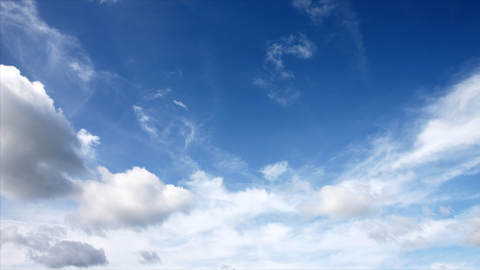 video-bumper-header.png