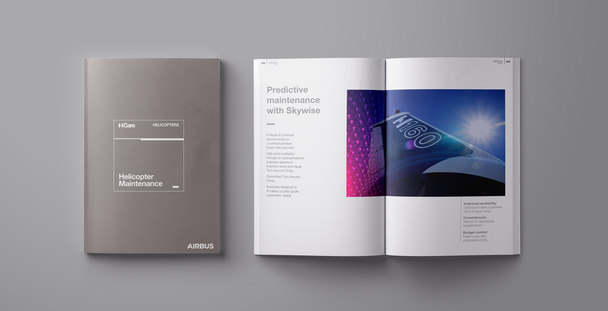 Skywise_HCareBrochure.png Skywise_HCareBrochure.png