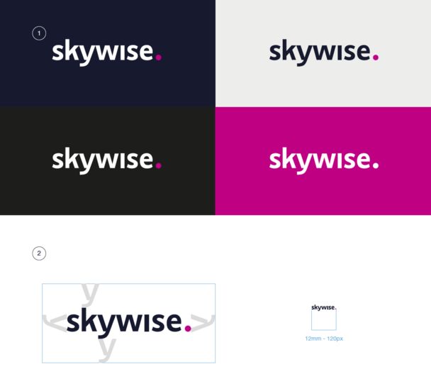 Skywise_logo_variants.png