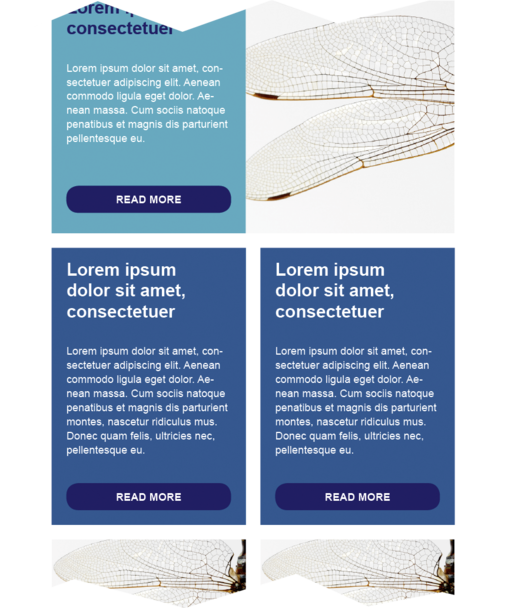 external-newsletter-interactive-6.png external-newsletter-interactive-6.png
