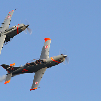 pzl-stage-image.png