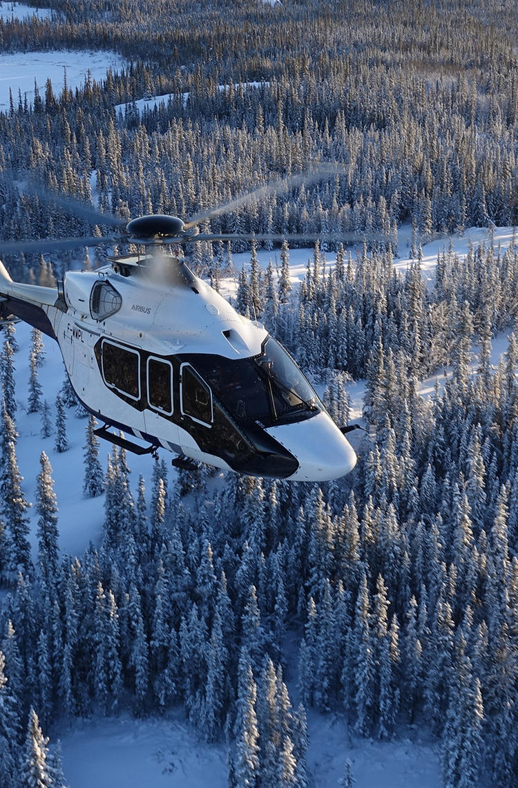 H160 flying over snowy forest