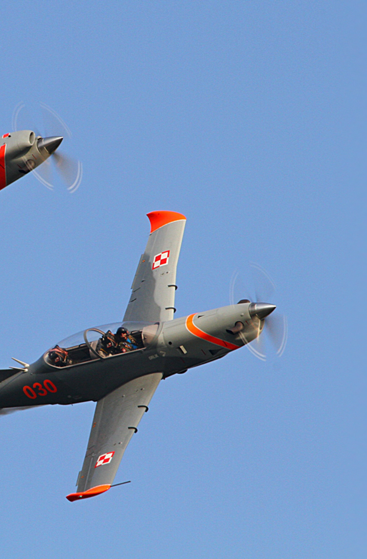 pzl-stage-image.png